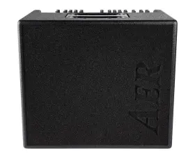 Domino-3 Aer Domino 3 2x8 Inch 100-watt Acoustic Combo Amp - Open Box