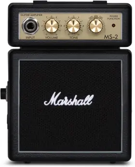 Amplification 313035227220 Ms2 Battery-powered Micro Guitar Amplifier