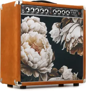 Ag.50.12m.gb.dp.ss.01 Amplified Nation Ampliphonix And Gain 50-watt 1 X 12-inch Combo Amplifier