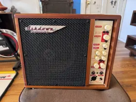 Aar1-c Ashdown Engineering Radiator Acoustic Guitar Amp - Cherry Wood