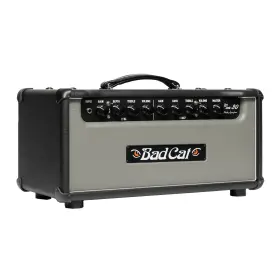 Bad Cat 850067710301 Mark Sampson Era 30 30-watt Handwired Tube Amp Head - Gray