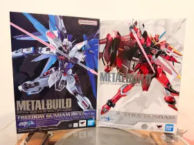 Zgmf-09a Bandai New Freedom Snow Sparkle And Justice Gundam Metal Build Figures Concept 2