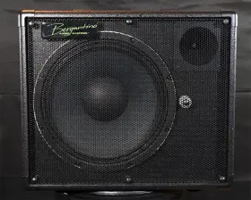 Ae112 Bergantino 1x12 Bass Speaker Cabinet Neodymium Speakers