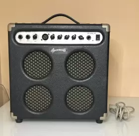B-30a Brownsville Acoustic Guitar Combo Amplifier