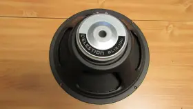Bl-12-100 Celestion Celestian Bass Guitar Speaker