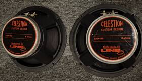 Celestion Giop-80 10 Inch Guitar Cab Speakers