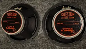 Giop-80 Celestion 10 Inch Guitar Cab Speakers
