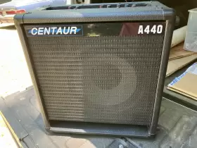 A440 Centaur Acoustic Pa - 60watt 10 Inch Speaker And Horn Guitar Voice