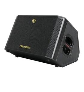 Coolmusic Bp60d-plus 300w Professional Acoustic Guitar Amp- New