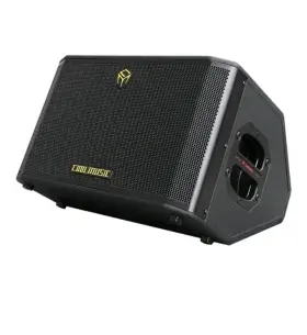 Bp60d-plus Coolmusic 300w Professional Acoustic Guitar Amp- New