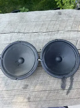 025421 Fender 8 Inch Amp Speaker Lot Pair Of 15 Watt/ Amps From 1996