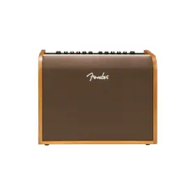 Fender 196271585312 Acoustic 100 Guitar Amplifier
