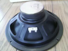 Fr-25 Fender Speaker 10 Inch 8-ohm 25 Watt