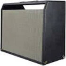 Fender Xs1sftwcc Silverface Twin Reverb 2x12 Combo Guitar Amp Cabinet