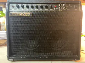 Fa-50 Fernandes Dsr Guitar Combo Amplifier