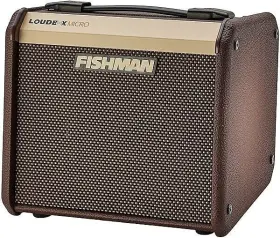 473894683971468931461 Fishman Brand New Loudbox Micro 40 Watt Acoustic Guitar Combo Amplifier
