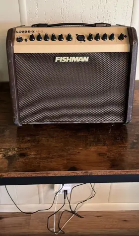Lbx-500-e1 Fishman Loudbox Mini 60w Solid State Combo Amp For Acoustic Guitar 2-ch