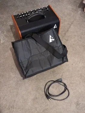 050154 Godin Asg-8 120 Acoustic Solutions Combo - Wood Grain