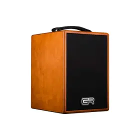 Wdacoustic6 Gr Guitar Audio Wd Acoustic 6 Amplifier