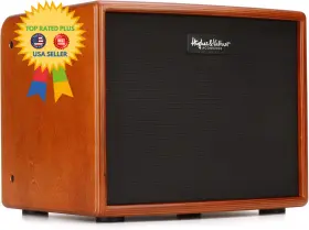 Era1 Hughes & Kettner And Era 1 250-watt Acoustic Combo Amp - Wood Brown