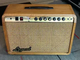 Rnr50112-0429-u Legend Rock Ftnft Roll 50 Vintage Hybrid 50-watt Guitar Amplifier 1x12