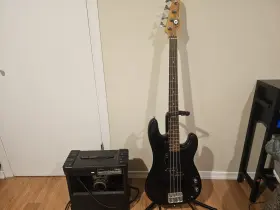 G10xl Luna Bass Guitar Crate Amp Full Setup