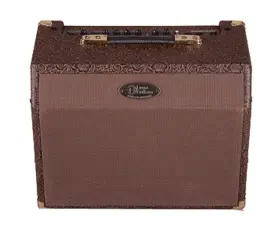 Aa-25 Luna Guitars Ambiance 25-watt Acoustic Combo Amp - Used