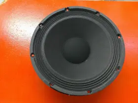 03613770 Peavey Ecoustic E110 Acoustic Guitar Amp Replacement Speaker Free Shipping