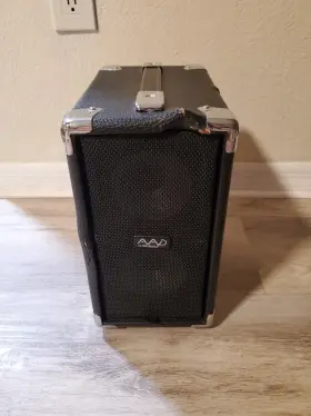 Ag-100 Phil Jones Aad Cub Acoustic Guitar Amp 100w