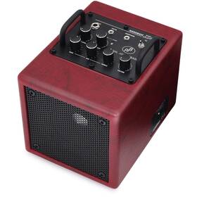 Phil Jones Bass X4c-r X4c Nanobass 35-watt 1x4 Inch And Multi-instrument Combo Amp Red