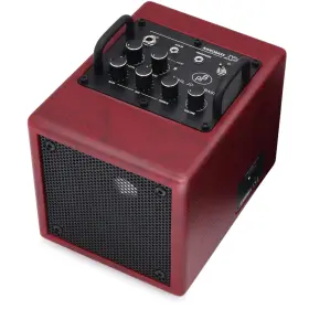 X4c-r Phil Jones Bass X4c Nanobass 35-watt 1x4 Inch And Multi-instrument Combo Amp Red