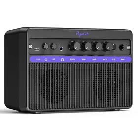 3440nnnn Pogolab Portable Electric Guitar Amplifier Mini 10w Dual Speakers Bluetooth Amp With