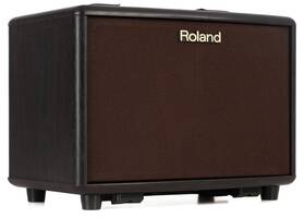 Roland Ac-33rw Ac-33 30-watt Battery Powered Portable Acoustic Amp - Rosewood