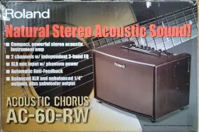 Ac-60-rw Roland Acoustic Chorus Amp Natural Stereo Sound Used Only 5 Hours
