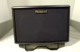 Ac33 Roland Acoustic Guitar Amplifier - Mint