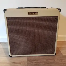 Bc-30 Roland Bc-30/210 Blues Cube Amplifier Vintage Blonde 2 X 10 Inch Amp