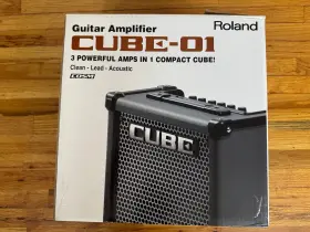 Cube-01 Roland Guitar Amplifier