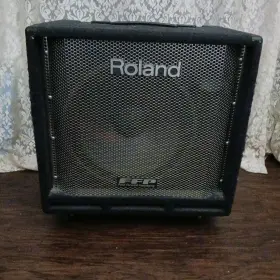 Db-700 Roland Bass Amp D 15 Inch Speaker With Tweeter. 290 Watts