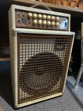 Mi383010 Swr California Blonde 120w Solid State Combo Acoustic Guitar Amplifier