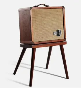 Av150-10 Taylor Av15010 Cicra 74 Acoustic Guitar Amp - Mahogany With Stand