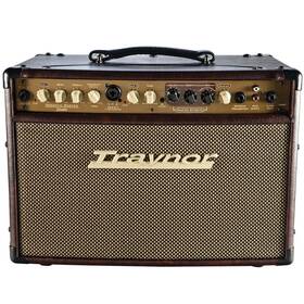 Traynor 840402028710 Am Studio Acoustic Masters Series Guitar / Vocal Combo Amplifier