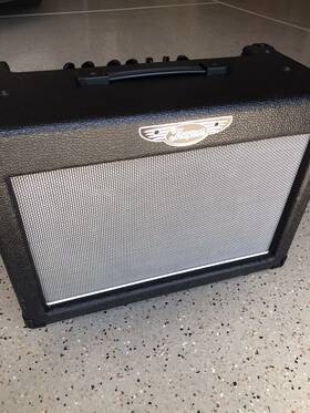 Traynor Dg15 Dyna Gain Guitar Combo Amplifier Amp 10 Inch Celestion Speaker Dg-15