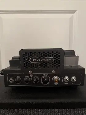 Dh15h Traynor Darkhorse 15w Tube Guitar Head Amplifier
