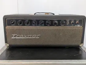 Yvm-1 Traynor 1966 Inch Voice Master 50w Tube Amp