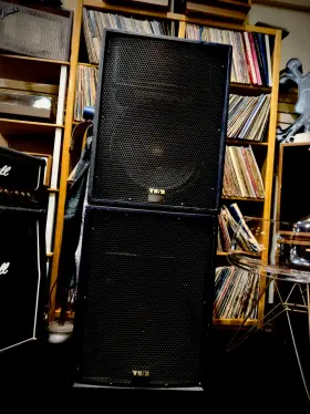 Fsx15c Ts/2 Inc. Speakers Combo High End Audio - Boutique Built