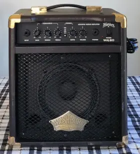 Wa20 Washburn Tiltable Acoustic Guitar Amplifier Works