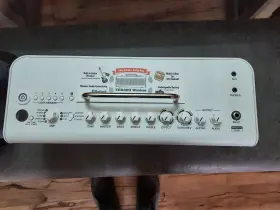 Thr30 Yamaha Ii Wireless 30-watt Modeling Combo Amp And Carry Bag - White Mint