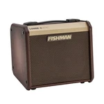 Fishman Loudbox Micro Acoustic Guitar Combo Amplifier, 40W, Brown New. Price: $289.95.