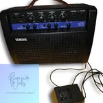 Yamaha VA-10 Guitar Amp Used. Price: $373.44.
