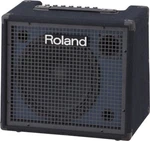 Roland KC-200 Mixing Keyboard Amplifier 100W AC100 New. Price: $580.20.